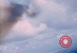 Image of trees Vietnam, 1967, second 45 stock footage video 65675051862