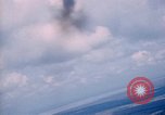 Image of trees Vietnam, 1967, second 53 stock footage video 65675051862