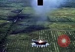 Image of open field Vietnam, 1967, second 5 stock footage video 65675051863