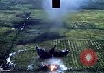 Image of open field Vietnam, 1967, second 7 stock footage video 65675051863