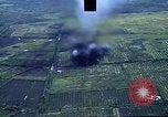 Image of open field Vietnam, 1967, second 28 stock footage video 65675051863