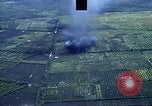 Image of open field Vietnam, 1967, second 34 stock footage video 65675051863