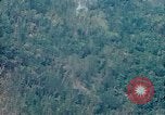 Image of smoky jungle Vietnam, 1967, second 10 stock footage video 65675051865