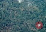 Image of smoky jungle Vietnam, 1967, second 12 stock footage video 65675051865