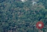 Image of smoky jungle Vietnam, 1967, second 14 stock footage video 65675051865