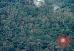 Image of smoky jungle Vietnam, 1967, second 15 stock footage video 65675051865