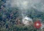 Image of smoky jungle Vietnam, 1967, second 22 stock footage video 65675051865