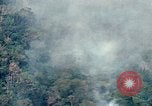Image of smoky jungle Vietnam, 1967, second 24 stock footage video 65675051865
