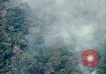 Image of smoky jungle Vietnam, 1967, second 25 stock footage video 65675051865