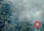 Image of smoky jungle Vietnam, 1967, second 26 stock footage video 65675051865
