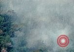 Image of smoky jungle Vietnam, 1967, second 27 stock footage video 65675051865