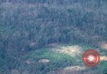 Image of smoky jungle Vietnam, 1967, second 59 stock footage video 65675051865