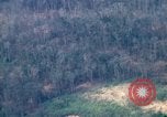 Image of smoky jungle Vietnam, 1967, second 62 stock footage video 65675051865