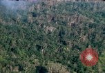 Image of wooded low land Vietnam, 1967, second 8 stock footage video 65675051866
