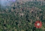Image of wooded low land Vietnam, 1967, second 9 stock footage video 65675051866