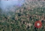 Image of wooded low land Vietnam, 1967, second 12 stock footage video 65675051866