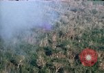 Image of wooded low land Vietnam, 1967, second 13 stock footage video 65675051866