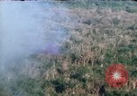 Image of wooded low land Vietnam, 1967, second 14 stock footage video 65675051866