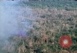 Image of wooded low land Vietnam, 1967, second 15 stock footage video 65675051866