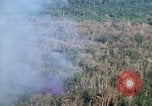 Image of wooded low land Vietnam, 1967, second 17 stock footage video 65675051866