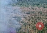 Image of wooded low land Vietnam, 1967, second 18 stock footage video 65675051866