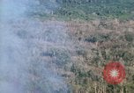 Image of wooded low land Vietnam, 1967, second 19 stock footage video 65675051866