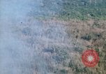 Image of wooded low land Vietnam, 1967, second 20 stock footage video 65675051866