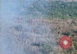 Image of wooded low land Vietnam, 1967, second 21 stock footage video 65675051866