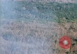 Image of wooded low land Vietnam, 1967, second 23 stock footage video 65675051866
