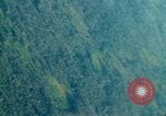 Image of wooded low land Vietnam, 1967, second 53 stock footage video 65675051866