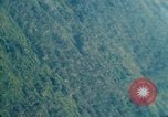 Image of wooded low land Vietnam, 1967, second 58 stock footage video 65675051866