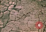 Image of jungle area Vietnam, 1967, second 24 stock footage video 65675051870