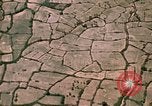 Image of jungle area Vietnam, 1967, second 26 stock footage video 65675051870