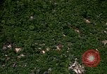 Image of jungle area Vietnam, 1967, second 53 stock footage video 65675051870