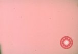 Image of ground targets exploding Vietnam, 1967, second 7 stock footage video 65675051873