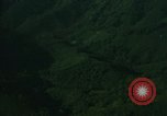 Image of dense foliage Vietnam, 1967, second 3 stock footage video 65675051875