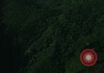 Image of dense foliage Vietnam, 1967, second 13 stock footage video 65675051875