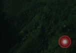 Image of dense foliage Vietnam, 1967, second 14 stock footage video 65675051875