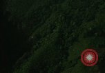 Image of dense foliage Vietnam, 1967, second 15 stock footage video 65675051875