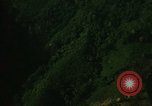 Image of dense foliage Vietnam, 1967, second 16 stock footage video 65675051875