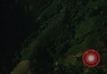 Image of dense foliage Vietnam, 1967, second 18 stock footage video 65675051875