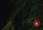 Image of dense foliage Vietnam, 1967, second 19 stock footage video 65675051875