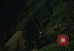 Image of dense foliage Vietnam, 1967, second 20 stock footage video 65675051875