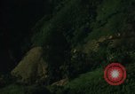 Image of dense foliage Vietnam, 1967, second 21 stock footage video 65675051875
