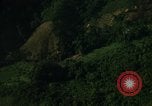 Image of dense foliage Vietnam, 1967, second 24 stock footage video 65675051875
