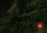 Image of dense foliage Vietnam, 1967, second 25 stock footage video 65675051875