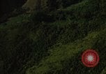 Image of dense foliage Vietnam, 1967, second 28 stock footage video 65675051875