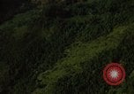 Image of dense foliage Vietnam, 1967, second 29 stock footage video 65675051875