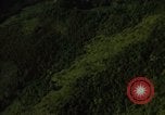 Image of dense foliage Vietnam, 1967, second 30 stock footage video 65675051875