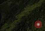 Image of dense foliage Vietnam, 1967, second 31 stock footage video 65675051875